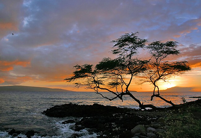 'Ahihi-Kina'u Natural Area - Makena, Hawaii